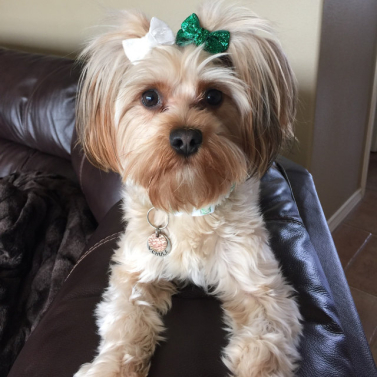 Bring on the Glitter