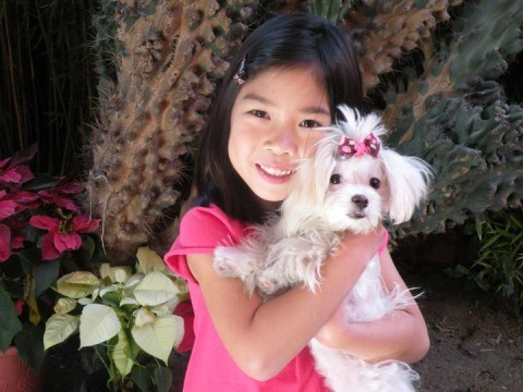 Human and Pooch Bows