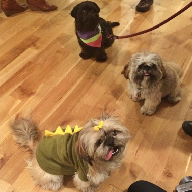 Halloween Here I Come