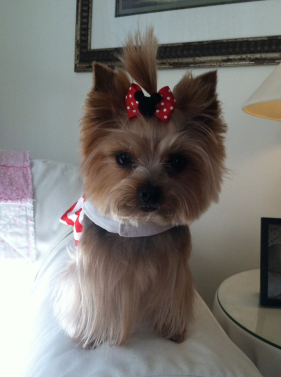 Vacation Here I Come