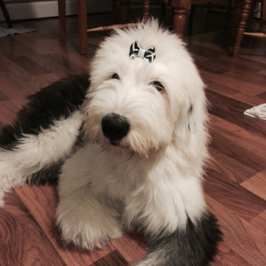 I know how to rock it.