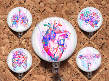 A Organ Badge Reel, Water Color Anatomy, Heart, Lungs, Ribs, Brain, Pelvis Retractable Badge Reel, Lanyard, StethoscopeTag, Carabiner, Mylar