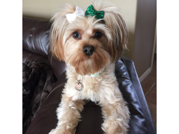 Bring on the Glitter