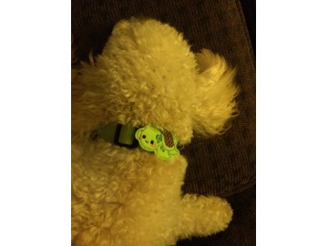 Felt Collar Attachment