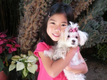 Human and Pooch Bows