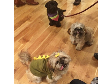 Halloween Here I Come