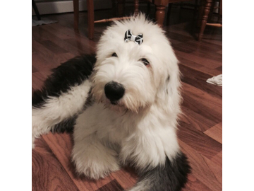 I know how to rock it.